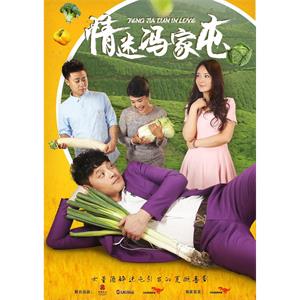 情迷冯家屯--电影--中国大陆--剧情,喜剧,爱情--高清