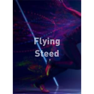 Flying Steed--电影--中国--记录片,短片--高清
