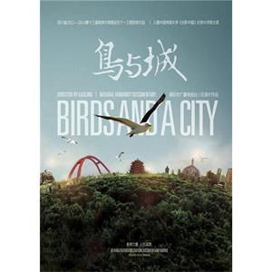 鸟与城--电影--中国大陆--纪录片--高清