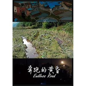 奔跑的黄昏--电影--中国大陆--纪录片--高清