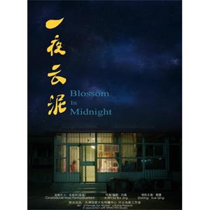 一夜云泥--电影--中国大陆--剧情--高清