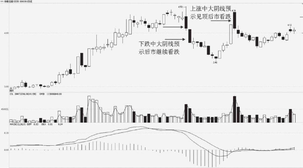 4.2 单根K线形态买卖点分析