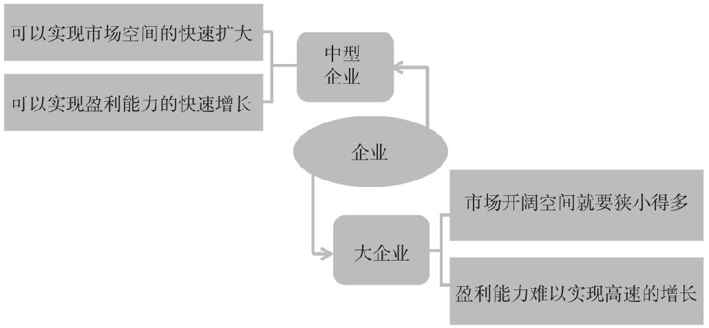 10.2 成长股的买卖技术