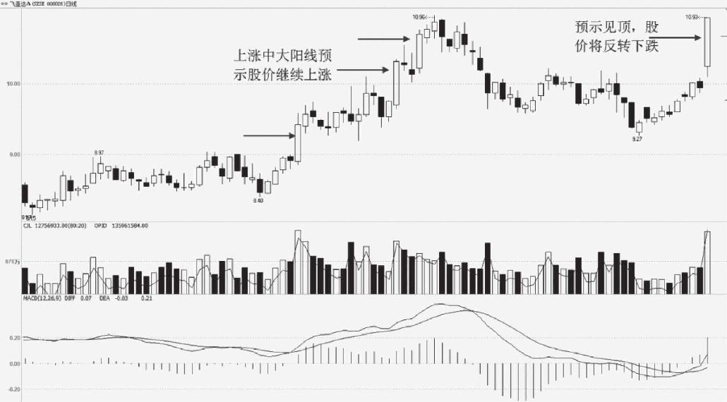 4.2 单根K线形态买卖点分析