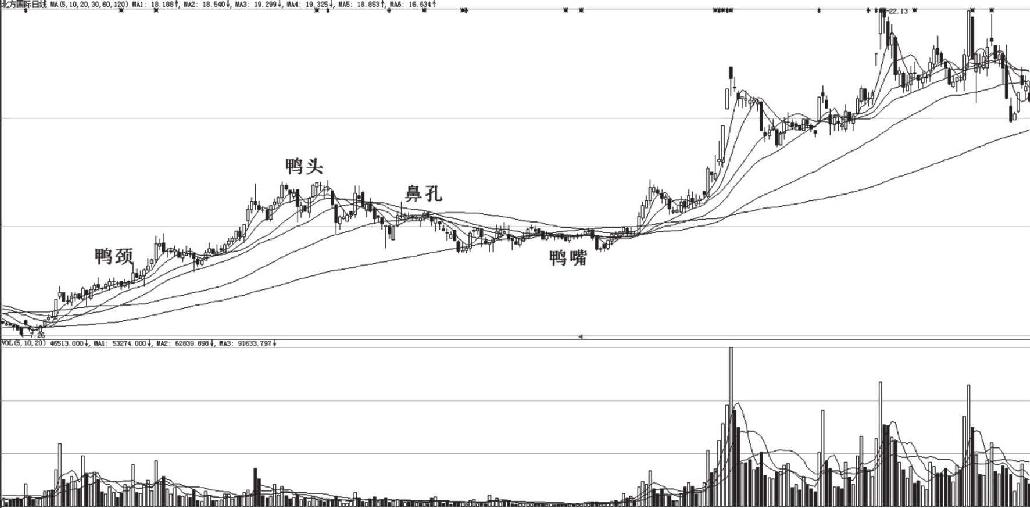 8.7 千金难得老鸭头