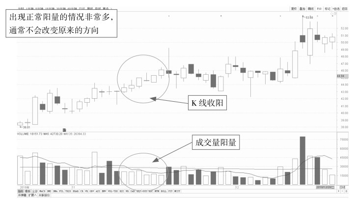 6.1 从量看盘——初识成交量