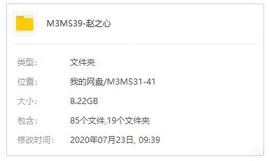 《赵之心健康/健身/养生》讲座合集百度云网盘下载(19门课程)[RM/WMV/4.28GB]