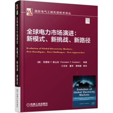 全球电力市场演进：新模式、新挑战、新路径