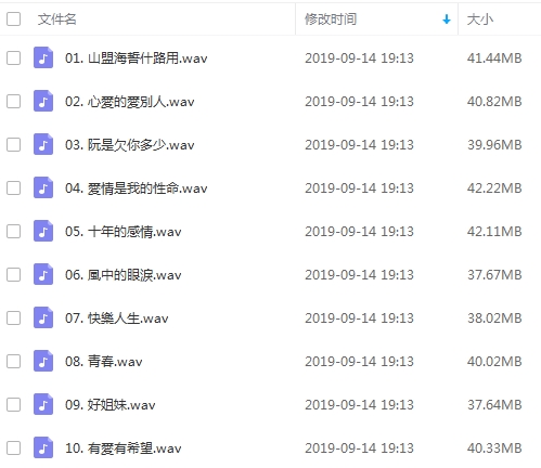 王瑞霞16张专辑无损歌曲WAV格式合集打包百度云网盘下载