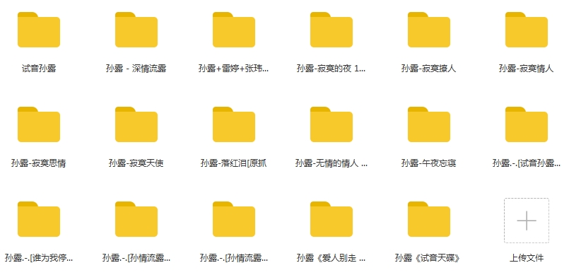 孙露歌曲17CD无损WAV合集打包百度云网盘下载