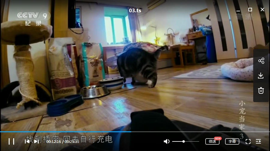 CCTV纪录片《小宠当家》五部合集高清中字[TS/8.11GB]百度云网盘下载