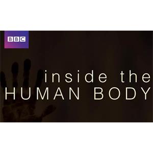 BBC纪录片《人体奥秘》全4集超清英语外挂中字百度云网盘下载