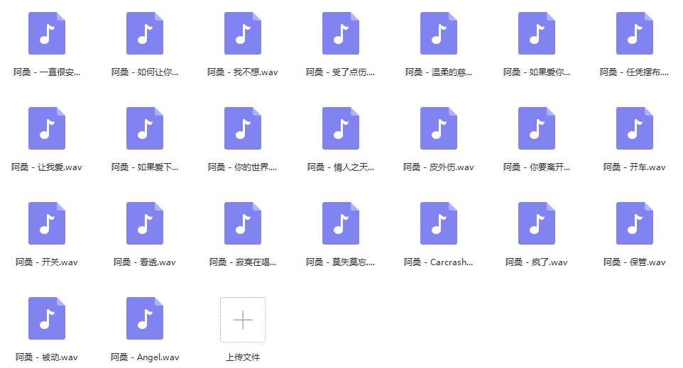 阿桑23首无损歌曲合集[WAV/978.26MB]百度云网盘下载