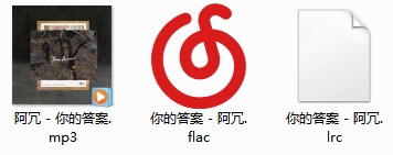 阿冗单曲《你的答案》[FLAC/MP3/27.71MB]百度云网盘下载