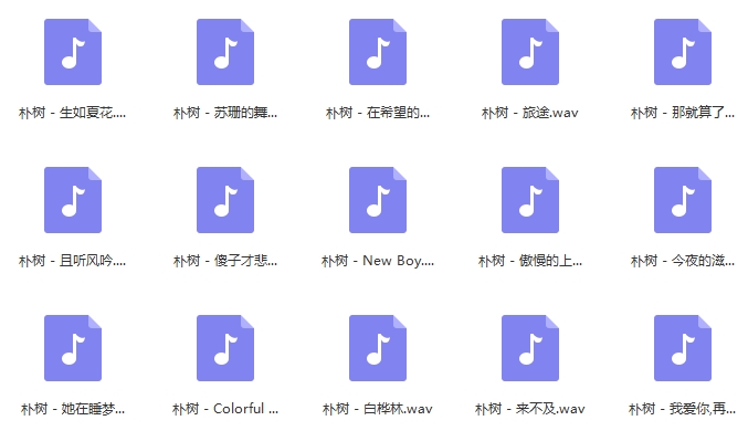 朴树无损歌曲精选15首[WAV/658.96MB]百度云网盘下载