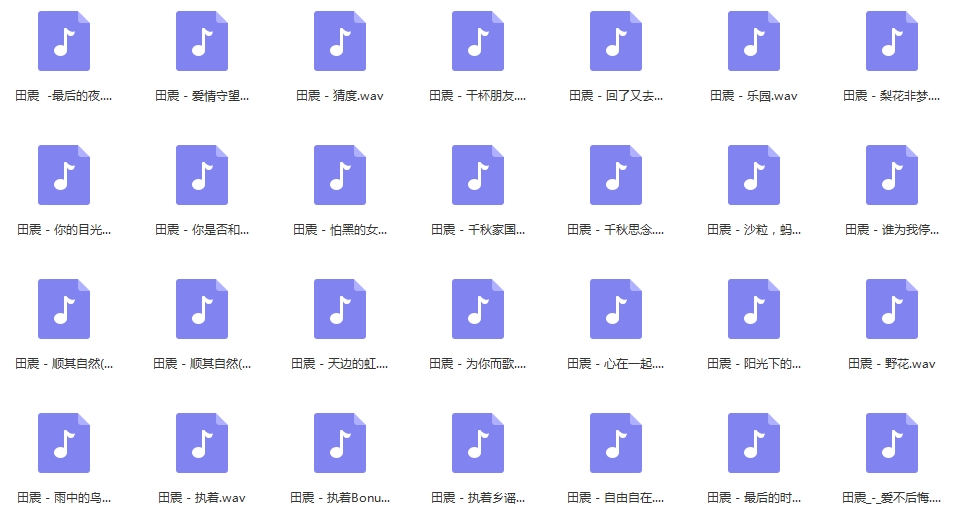 田震无损歌曲精选28首[WAV/1.22GB]百度云网盘下载