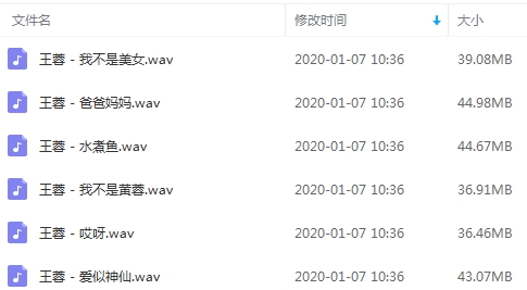 王蓉无损歌曲精选6首[WAV/245.16MB]百度云网盘下载