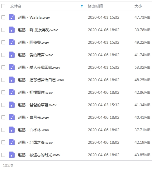 赵鹏无损歌曲精选135首[WAV/5.78GB]百度云网盘下载