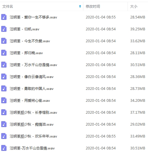 汪明荃无损歌曲精选12首[WAV/381.50MB]百度云网盘下载