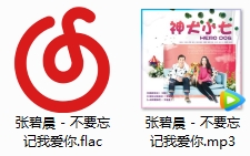 张碧晨单曲《不要忘记我爱你》神犬小七电视剧主题曲[FLAC/MP3/33.38MB]百度云网盘下载