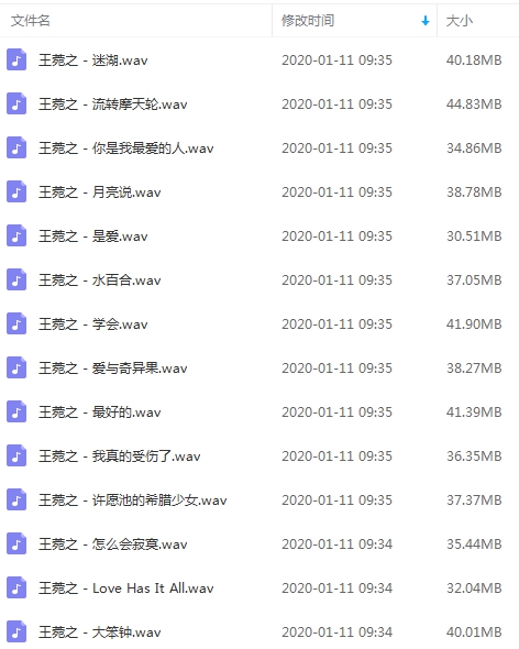 王菀之无损歌曲精选14首[WAV/529.01MB]百度云网盘下载