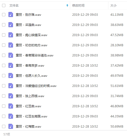 童丽无损歌曲精选57首[WAV/2.37GB]百度云网盘下载