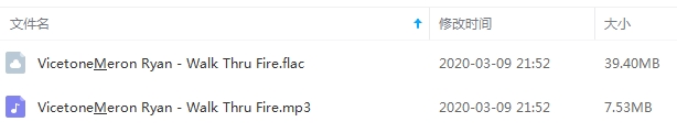 Vicetone&Meron Ryan单曲《Walk Thru Fire》[FLAC/MP3/46.93MB]百度云网盘下载