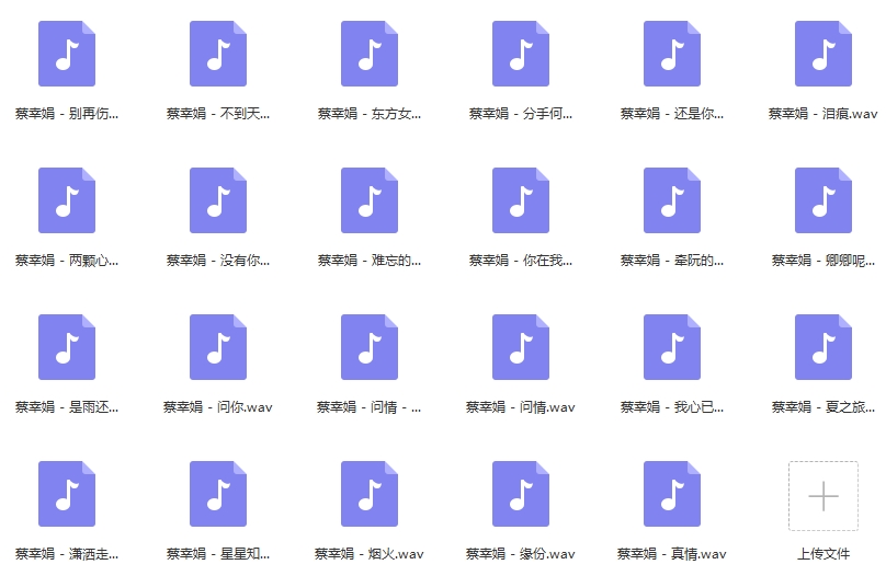 蔡幸娟歌曲精选23首无损[WAV/990.99MB]百度云网盘下载