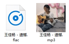 王佳杨单曲《遗憾》[FLAC/MP3/59.48MB]百度云网盘下载