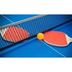 乒乓球教程-乒乓球九级训练内容与达标标准系列视频合集[MP4/15.65GB]百度云网盘下载