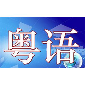 粤语教程-粤语学习系列教程视频合集[MP4/AVI/RM/28.75GB]百度云网盘下载