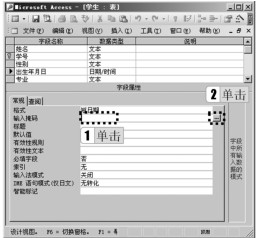 图2-43 输入掩码