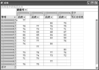 图4-28 数据透视表窗体结果