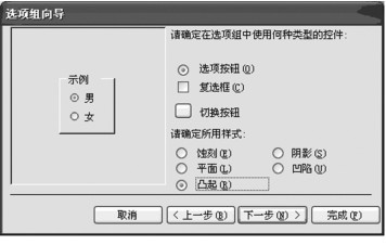 图4-64 选项组向导4