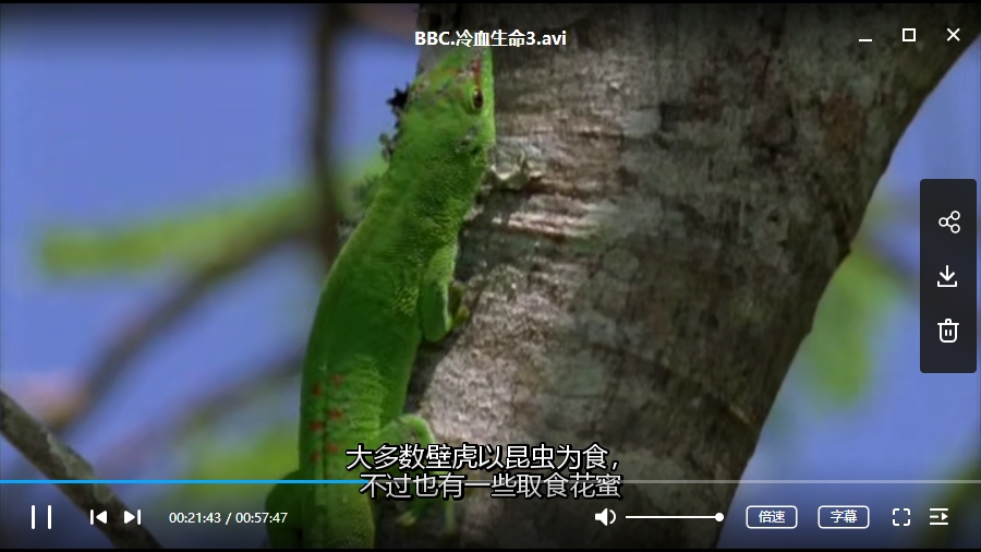 BBC纪录片《冷血生命》全5集高清英语中文字幕[AVI/3.64GB]百度云网盘下载
