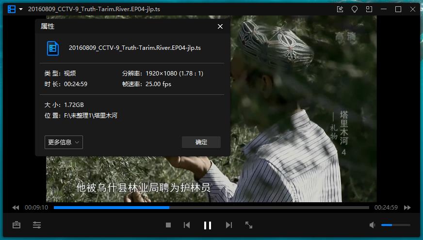 央视纪录片《塔里木河/Tarim River》全6集视频合集国语中字[TS/10.40GB]百度云网盘下载