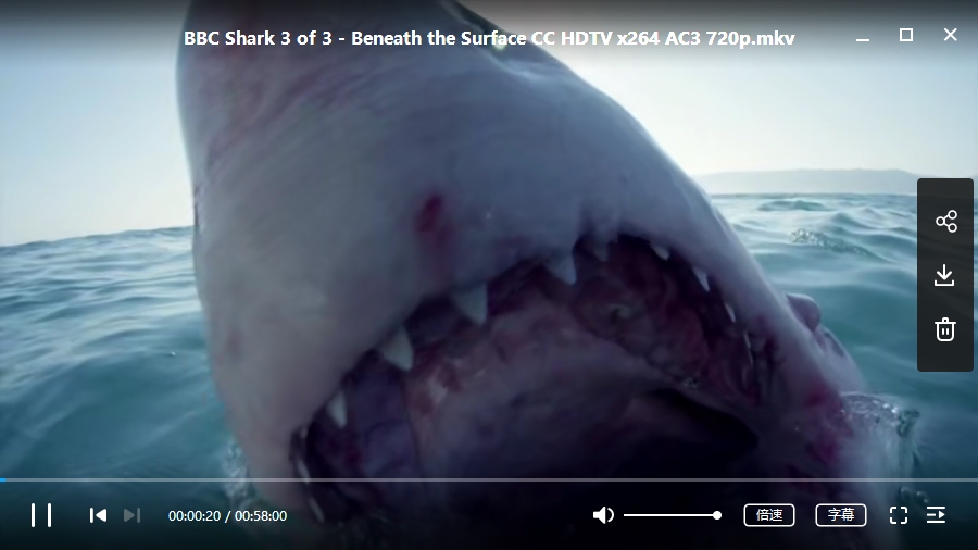 BBC纪录片《鲨鱼》全3集超清英语中字[MKV/4.37GB]百度云网盘下载