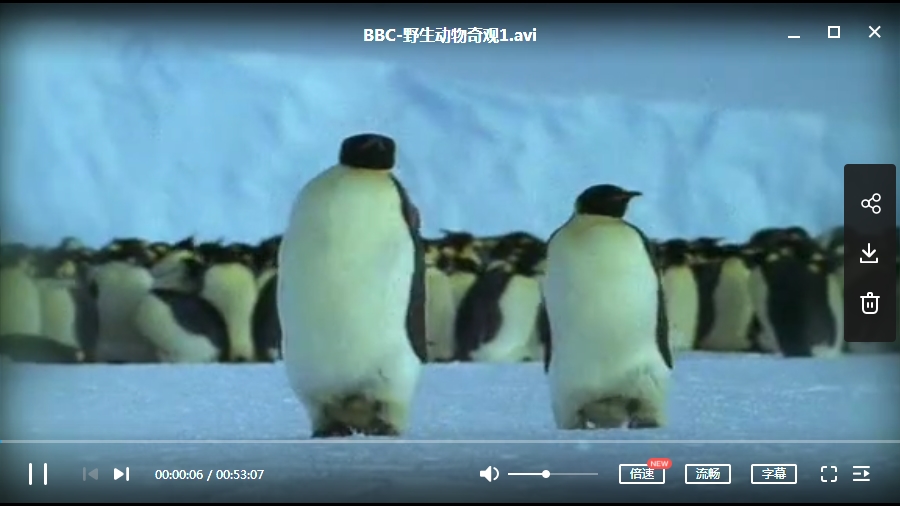 BBC纪录片《野生动物奇观》两集合集英语中字[AVI/1.37GB]百度云网盘下载
