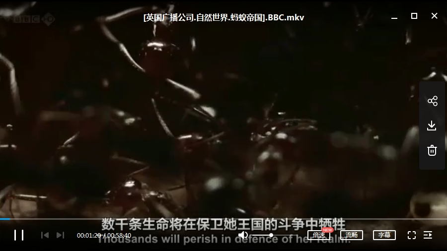 BBC纪录片《沙漠中的蚂蚁帝国》视频英语中字[MKV/724.78MB]百度云网盘下载