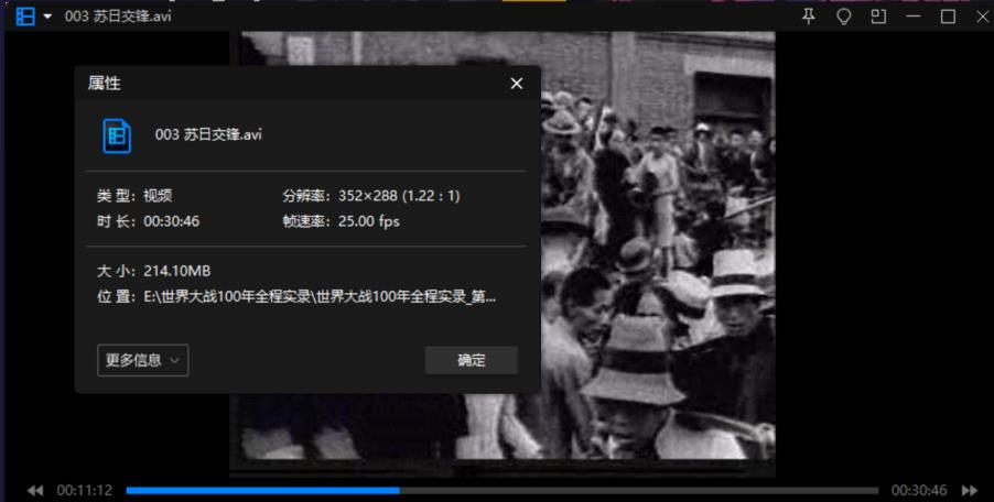 纪录片《世界大战100年全程实录》国语无字视频合集[AVI/RMVB/17.53GB]百度云网盘下载