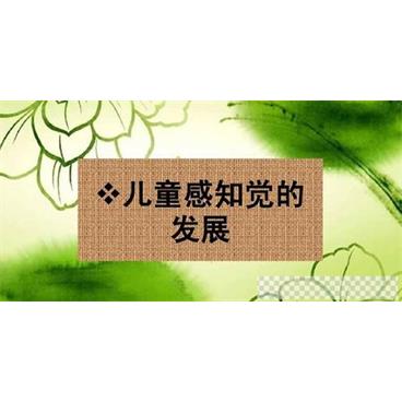 幼儿音乐感知课程-宝宝音乐感知唤醒视频课视频[MP4/10.2GB]百度云网盘下载