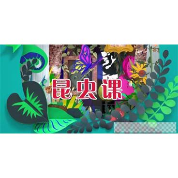 芝麻学社《昆虫课》儿童趣味动物知识课视频[MP4/1.18GB]百度云网盘下载