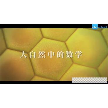 芝麻学社《大自然中的数学》视频[MP4/393.03M]百度云网盘下载