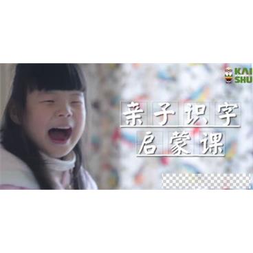 凯叔《亲子识字启蒙课》玩中学识字领略汉字之美视频[MP4/6.07GB]百度云网盘下载