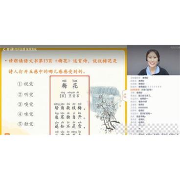 张泉灵-少年得到2020年暑秋二年级语文视频[MP4/10.93GB]百度云网盘下载