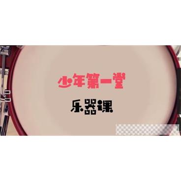 芝麻学社《少年第一堂乐器课》儿童乐器选择课视频[MP4/1.19GB]百度云网盘下载