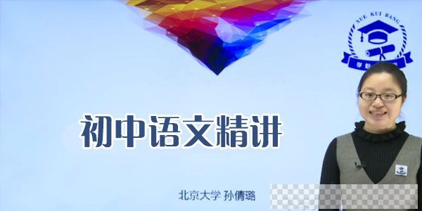 孙倩璐-学魁榜初中语文重点知识精讲视频[MP4/9.51GB]百度云网盘下载