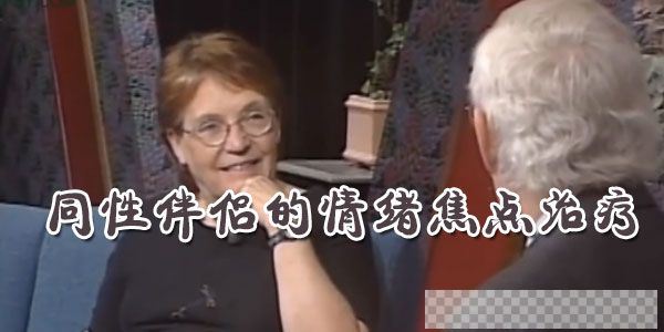 苏约翰逊博士(Dr.SueJohnson)同性伴侣的情绪焦点治疗视频[MP4/1.22GB]百度云网盘下载