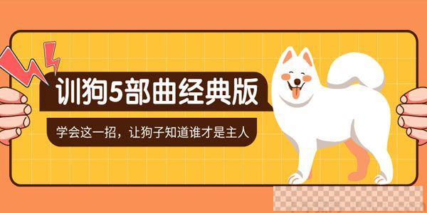 唐伟敏-军犬训练教官《训狗5部曲》10天改掉狗狗的坏习惯视频[MP4/11.12GB]百度云网盘下载