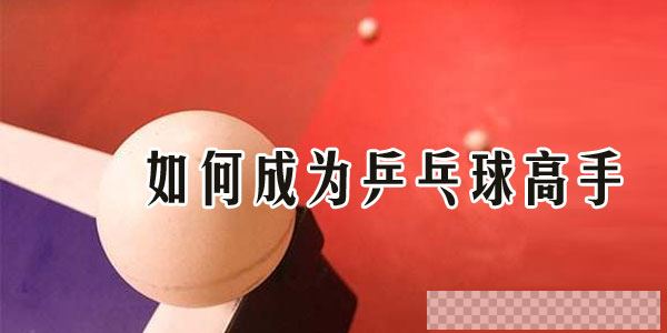 唐建军乒乓秘籍《如何成为乒乓球高手》乒乓球教学视频视频[MP4/0.99GB]百度云网盘下载